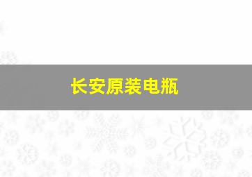 长安原装电瓶