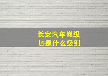 长安汽车岗级l5是什么级别