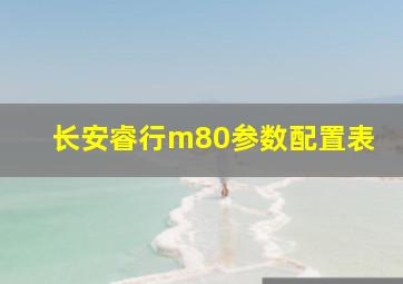 长安睿行m80参数配置表