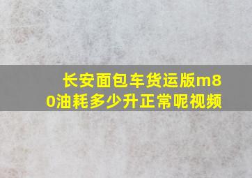 长安面包车货运版m80油耗多少升正常呢视频