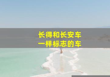 长得和长安车一样标志的车