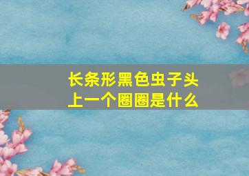 长条形黑色虫子头上一个圈圈是什么