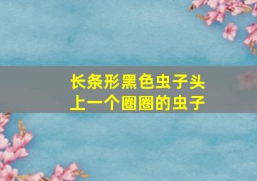 长条形黑色虫子头上一个圈圈的虫子