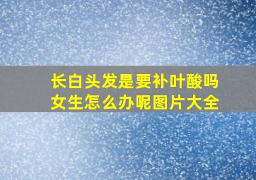 长白头发是要补叶酸吗女生怎么办呢图片大全