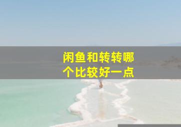 闲鱼和转转哪个比较好一点