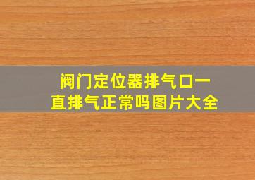 阀门定位器排气口一直排气正常吗图片大全