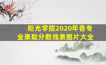 阳光学院2020年各专业录取分数线表图片大全