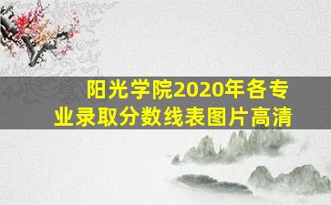 阳光学院2020年各专业录取分数线表图片高清