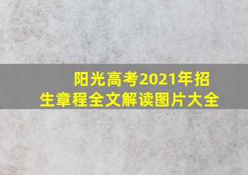 阳光高考2021年招生章程全文解读图片大全