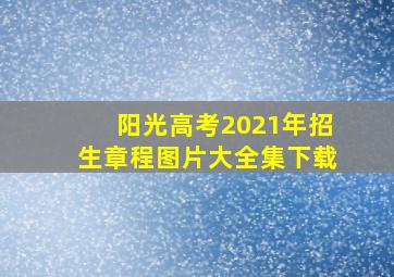 阳光高考2021年招生章程图片大全集下载