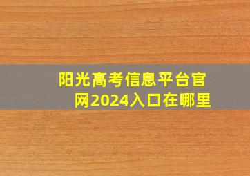 阳光高考信息平台官网2024入口在哪里