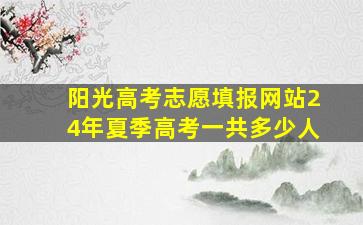 阳光高考志愿填报网站24年夏季高考一共多少人