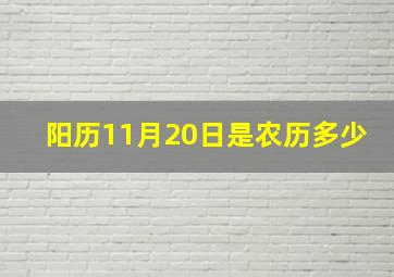 阳历11月20日是农历多少