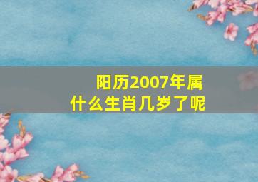 阳历2007年属什么生肖几岁了呢