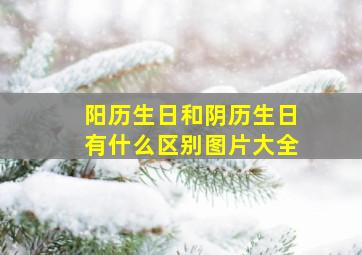 阳历生日和阴历生日有什么区别图片大全