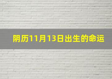 阴历11月13日出生的命运