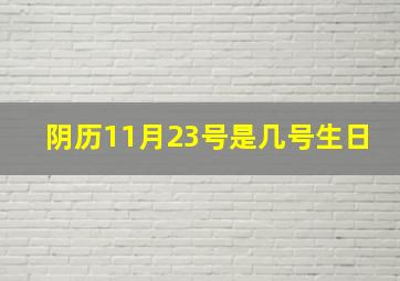 阴历11月23号是几号生日