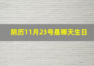 阴历11月23号是哪天生日