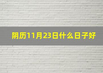 阴历11月23日什么日子好