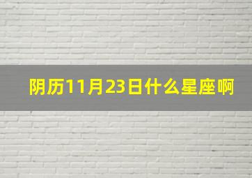 阴历11月23日什么星座啊