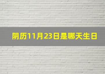 阴历11月23日是哪天生日