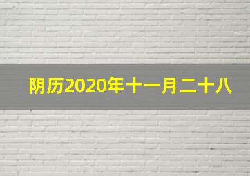 阴历2020年十一月二十八