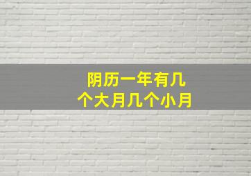 阴历一年有几个大月几个小月