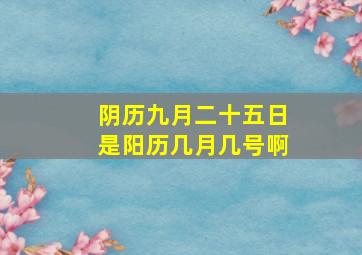 阴历九月二十五日是阳历几月几号啊