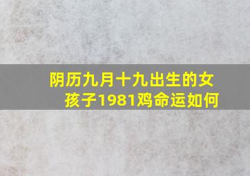 阴历九月十九出生的女孩子1981鸡命运如何