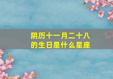 阴历十一月二十八的生日是什么星座