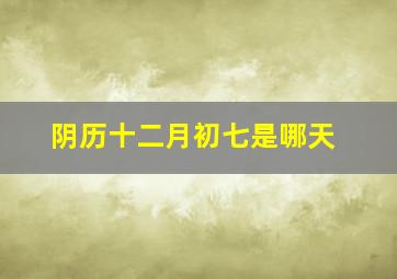 阴历十二月初七是哪天