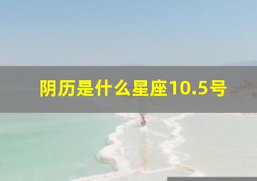 阴历是什么星座10.5号