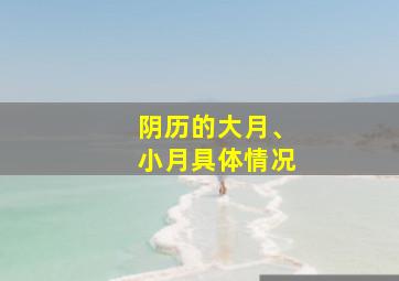 阴历的大月、小月具体情况