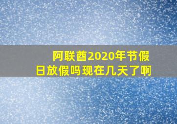 阿联酋2020年节假日放假吗现在几天了啊