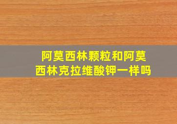 阿莫西林颗粒和阿莫西林克拉维酸钾一样吗