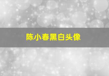 陈小春黑白头像