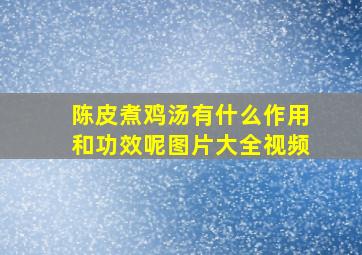 陈皮煮鸡汤有什么作用和功效呢图片大全视频