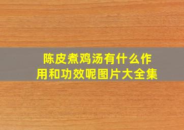 陈皮煮鸡汤有什么作用和功效呢图片大全集