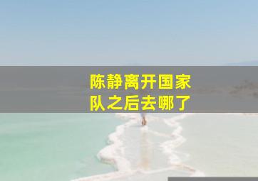 陈静离开国家队之后去哪了