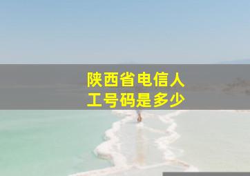 陕西省电信人工号码是多少