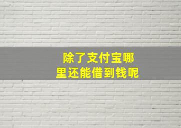 除了支付宝哪里还能借到钱呢