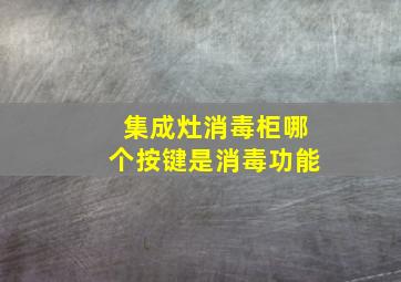 集成灶消毒柜哪个按键是消毒功能