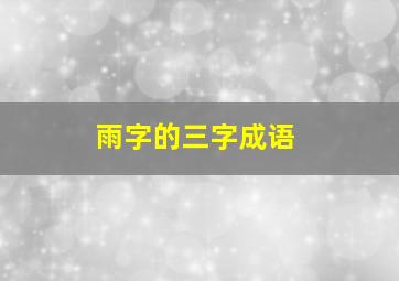 雨字的三字成语