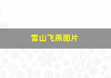 雪山飞燕图片