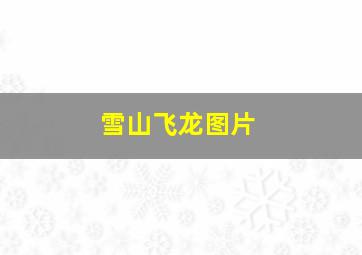 雪山飞龙图片