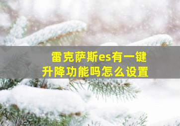 雷克萨斯es有一键升降功能吗怎么设置