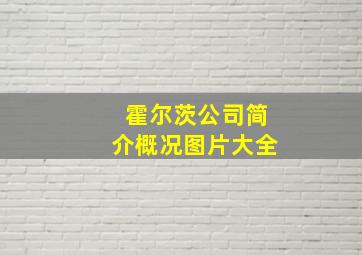 霍尔茨公司简介概况图片大全