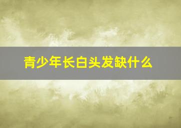 青少年长白头发缺什么