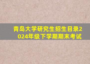 青岛大学研究生招生目录2024年级下学期期末考试