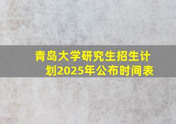 青岛大学研究生招生计划2025年公布时间表